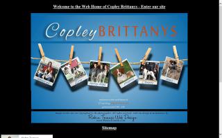 Copley Brittanys