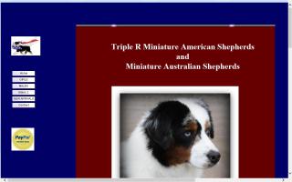 Triple R Miniature Australian Shepherds