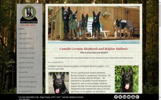 Camelot German Shepherds