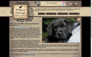 Willow Springs Labradors