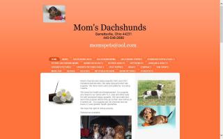 Mom's Dachshunds / Danielle's Photography