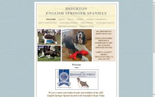 Brighton English Springer Spaniels