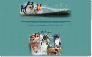 Thorndale Collies