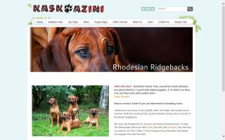 Kaskazini Rhodesian Ridgebacks