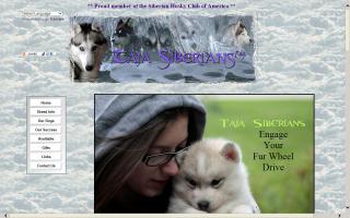 Taja Siberians