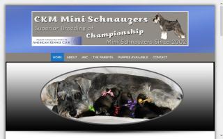 CKM Mini Schnauzers