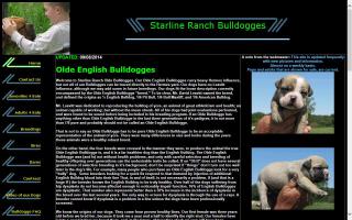 Starline Ranch Bulldogges