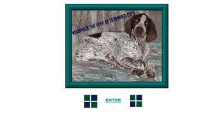 Stormwynd GSP's
