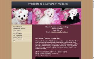 Silver Brook Maltese