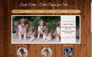 Cook's Collies