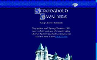 Stronghold Cavaliers