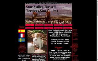 Star Valley Russell Terriers