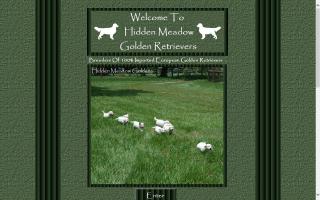 Hidden Meadow Golden Retrievers