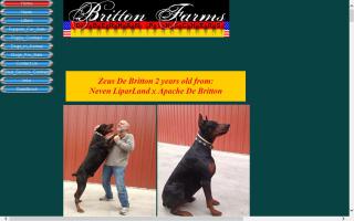 Britton Farms Dobermans