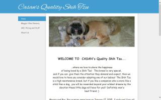 CASAN's Quality Shih Tzu