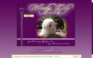 Windy City Coton