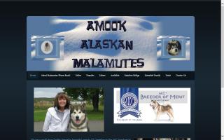 Amook Alaskan Malamutes