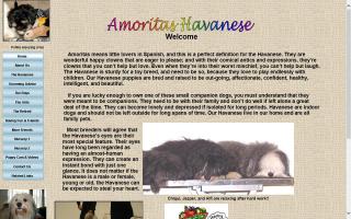 Amoritas Havanese