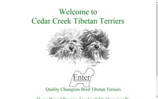 Cedar Creek Tibetan Terriers