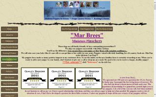 Mar Brees