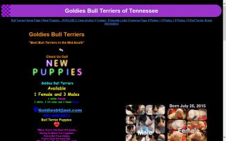 Goldies Bull Terriers of Tennessee