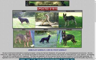 Evermore German Shepherds