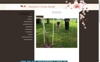 Mammoth Mastiffs & Ducky's Mastiffs