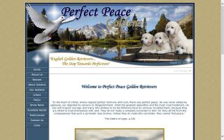 Perfect Peace English Golden Retrievers