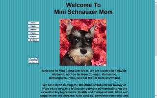 Mini Schnauzer Mom