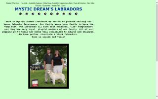 Mystic Dreams Labradors