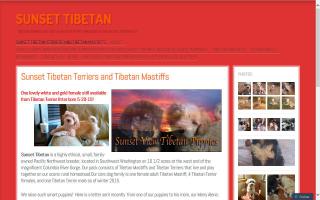 Sunset Tibetan Kennels