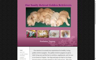 Our Sanity Retreat Golden Retrievers - OSR Golden Retrievers