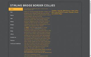 Stirling Bridge Border Collies