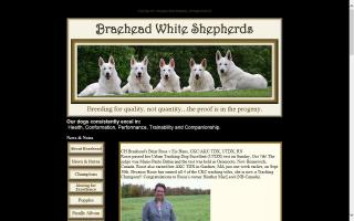 Braehead White Shepherds