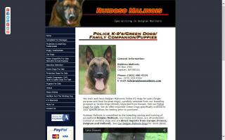 Ruidoso Malinois