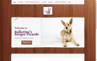 Ballerine’s Berger Picards