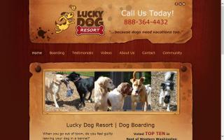 Lucky Dog Resort