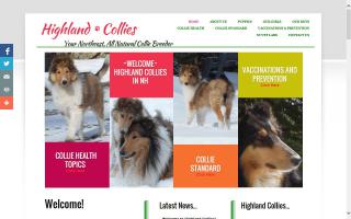 Highland Collies