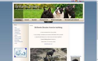 Brillants Boules