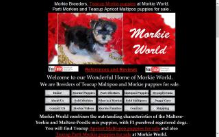 Morkie World