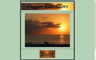 Lugger Labradors