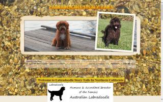 Labradoodle Story Tails
