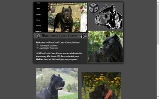 Blue Creek Cane Corso