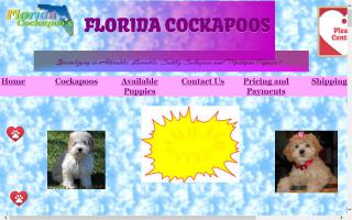 Florida Cockapoos