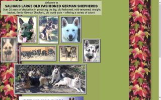 Salhaus Large Old Fashioned German Shepherds