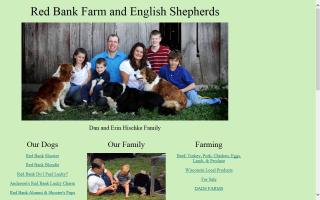 Red Bank English Shepherds