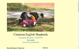 Cimarron English Shepherds