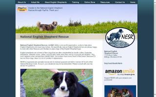 National English Shepherd Rescue, Ltd. - NESR