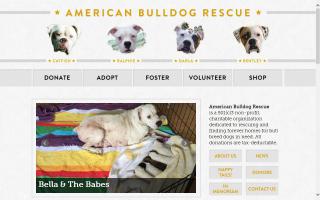 American Bulldog Rescue - ABR