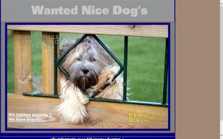 Wanted Nice Dogs